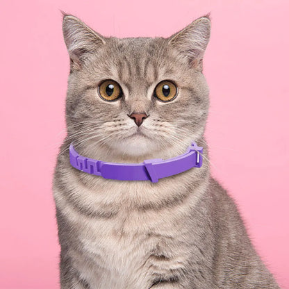 Pet Calming Collar™