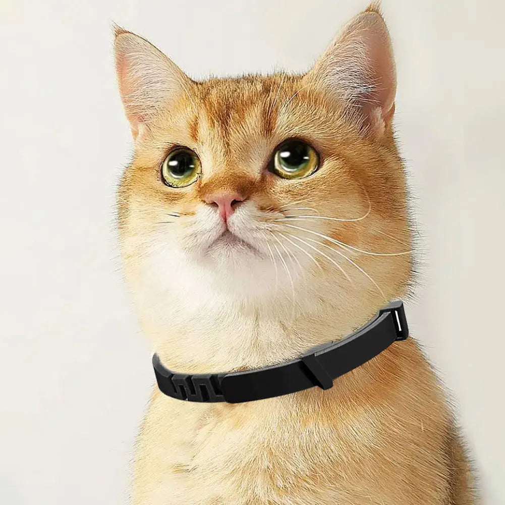 “Transform Anxiety into Joyful Calmness”